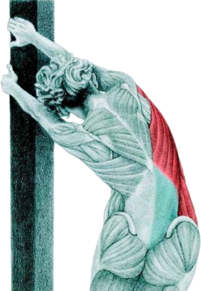 Lat Stretch At The Wall - Lat Stretch On Wall (706x1024), Png Download