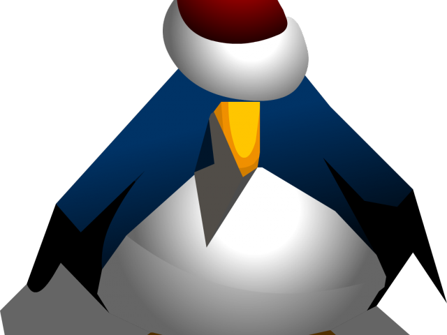 Santa Hat Clipart Club Penguin - Penguin With A Santa Hat (640x480), Png Download