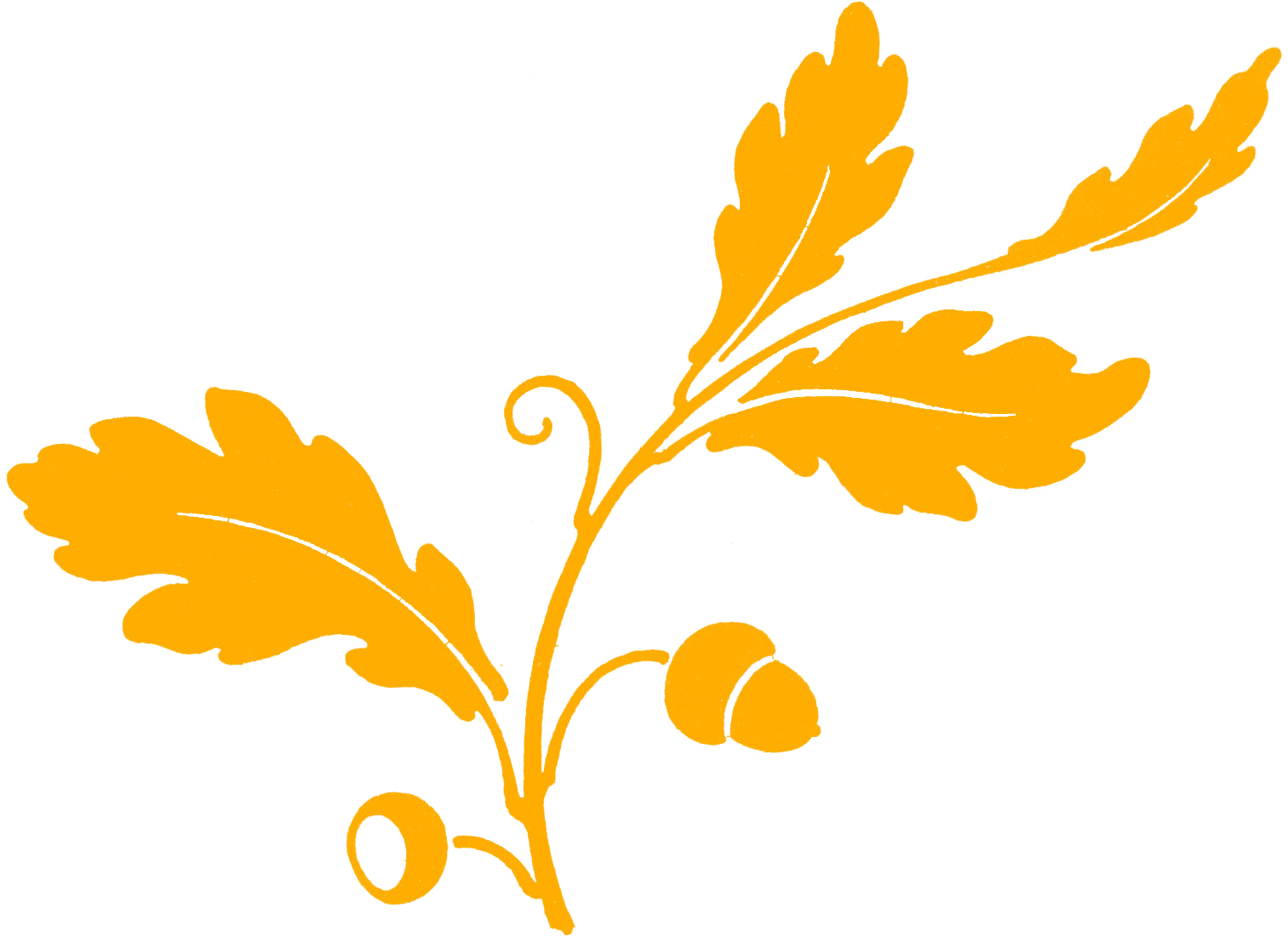 Leaves Oak Tree Silhouette, Silhouette Cameo, Oak Leaves, - Graphic Clipart (1541x1137), Png Download