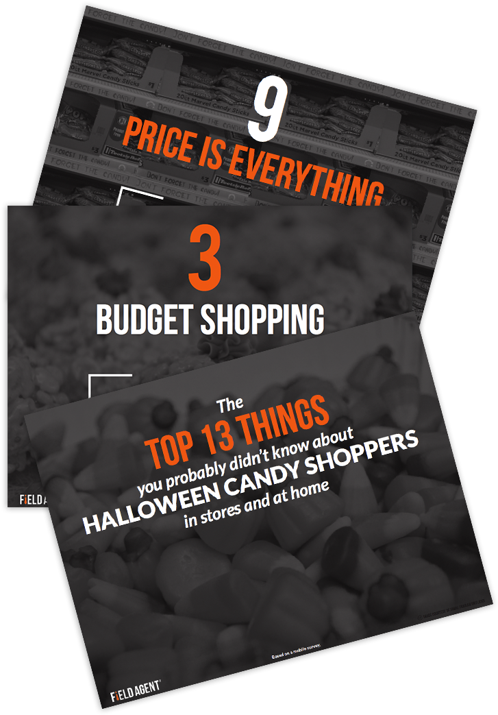 Field Agent Mobile Audit - Charlie Crist (788x1054), Png Download