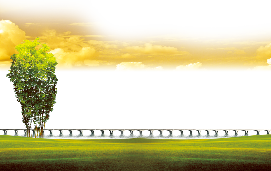 Wallpaper Green Transprent Png - Tree (950x600), Png Download