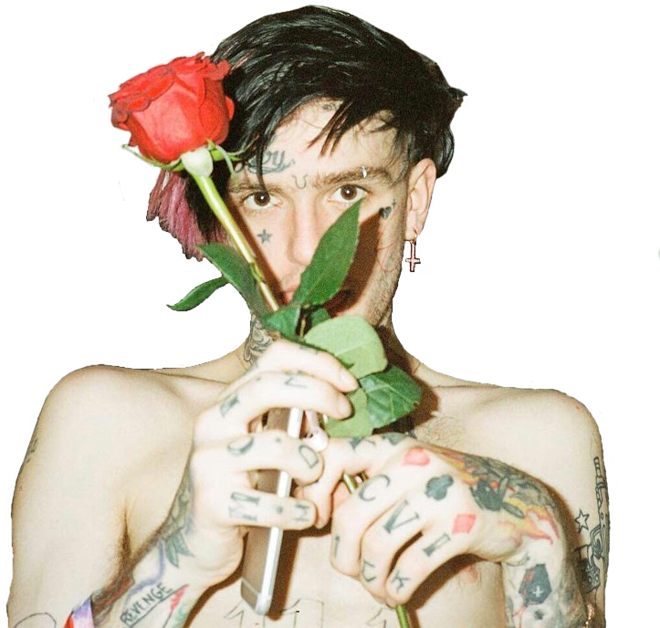 Sticker Lil Peep Lil Peep Rose - Lil Peep With Rose (915x687), Png Download