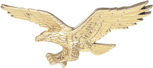6" X 8" American Flag - Golden Eagle (600x600), Png Download