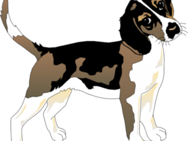 Beagle Clipart Sad Dog - Beagle (640x480), Png Download