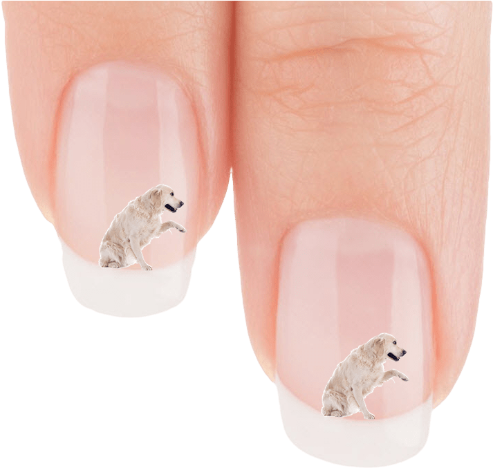 Golden Retriever Wanna Shake Nail Art Decals Patch - Nail Polish (923x736), Png Download