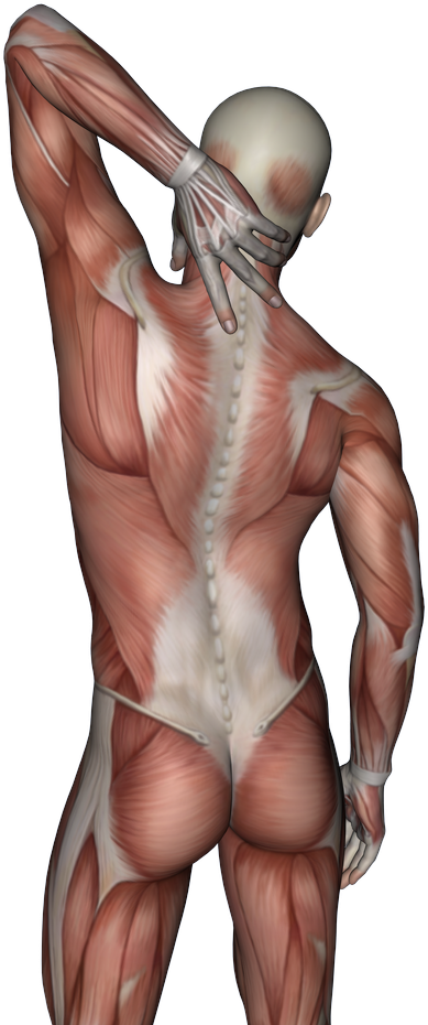 Neck Pain - Illustration (1010x1010), Png Download