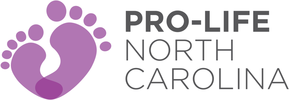 Pro Life North Carolina 05 - Circle (1000x347), Png Download