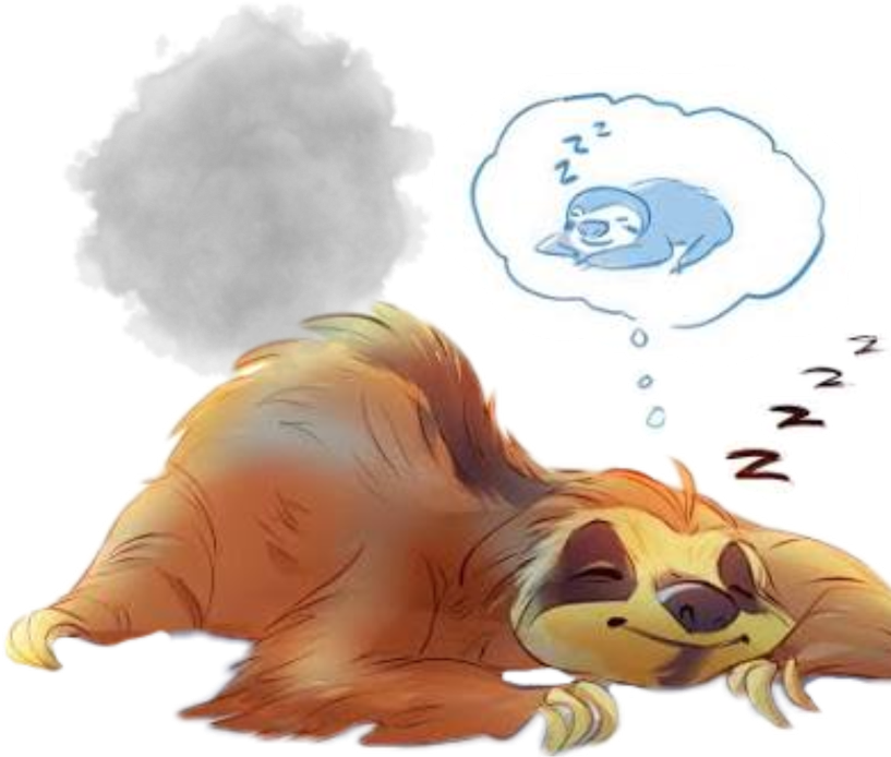 Ленивец Пнг (1024x1024), Png Download