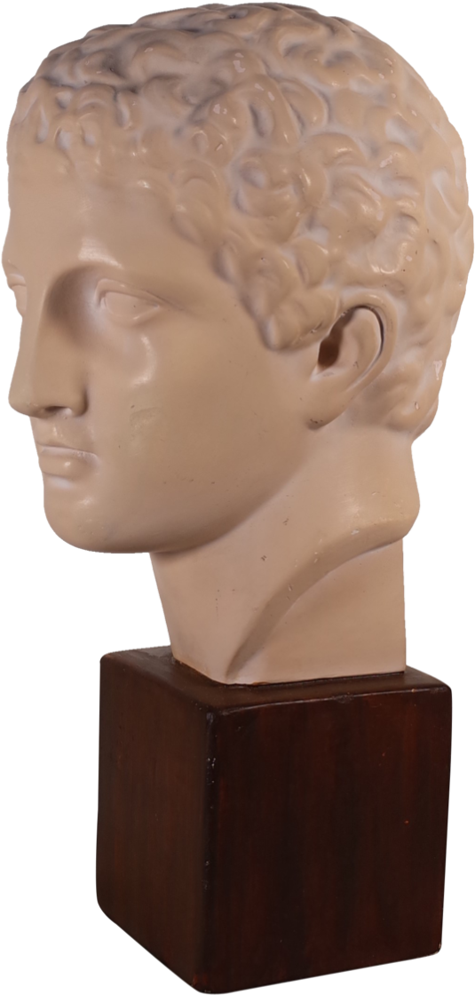 Plaster Bust Of Roman Male - Bust (1021x1600), Png Download