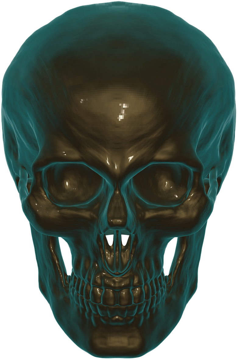 Skull, Anatomy, Skull And Crossbones, Human, Head, - Skull (720x720), Png Download