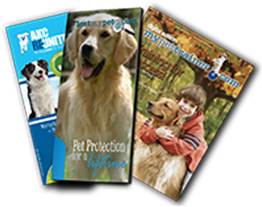Yearly Microchip Enrollment - Golden Retriever (600x600), Png Download