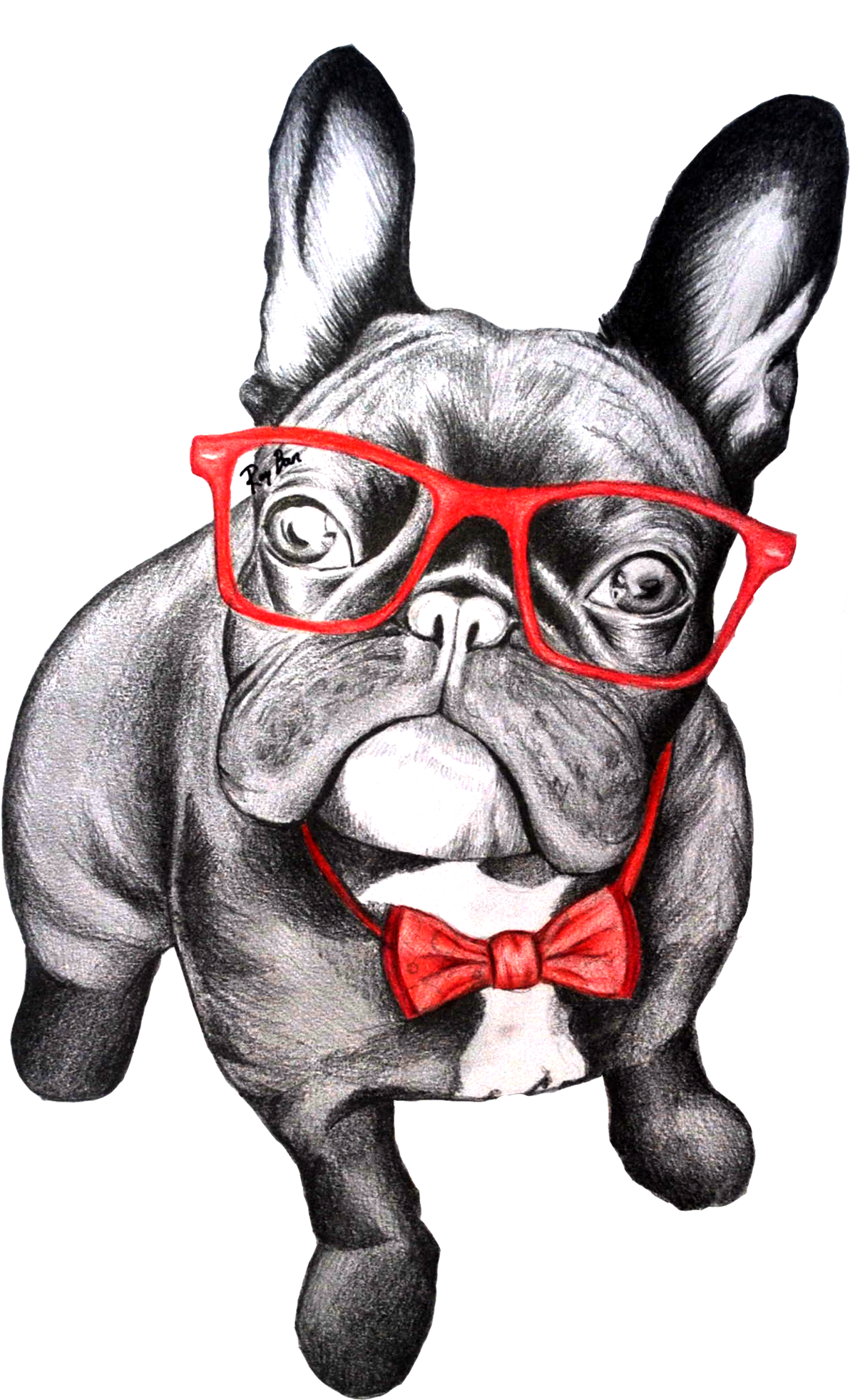 French Bulldog With Glasses Painting (1200x2400), Png Download