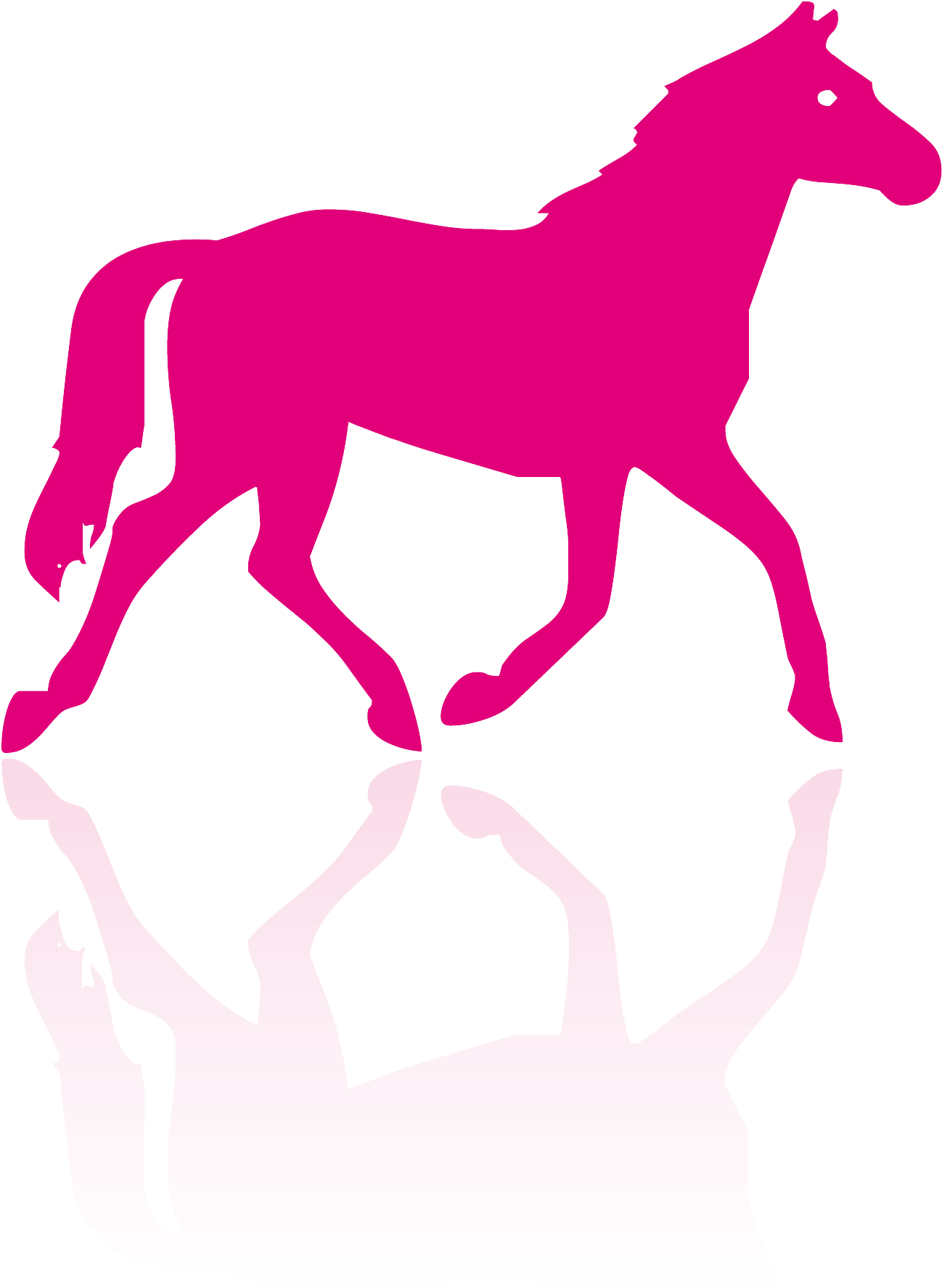 Adiavet™ Equine - Horse Silhouette (1578x2495), Png Download