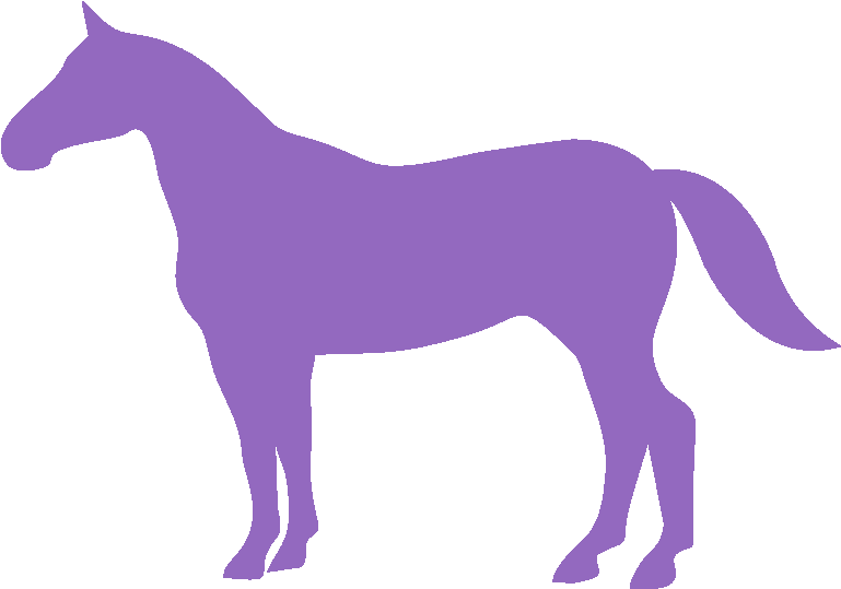 Kkm Stable Clinics - Illustration (1024x1024), Png Download