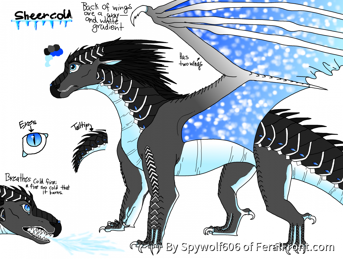 Sheercold The Icewing/nightwing Hybrid - Wolf The Nightwing Icewing (1189x900), Png Download