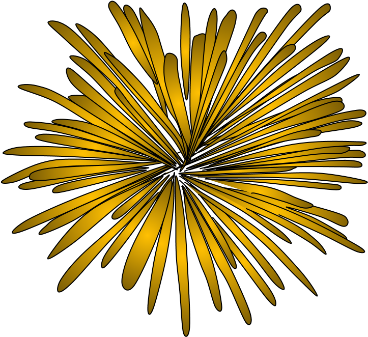 Fireworks, Burst, Style 2, Gold, Yellow, Png - Illustration (816x1056), Png Download