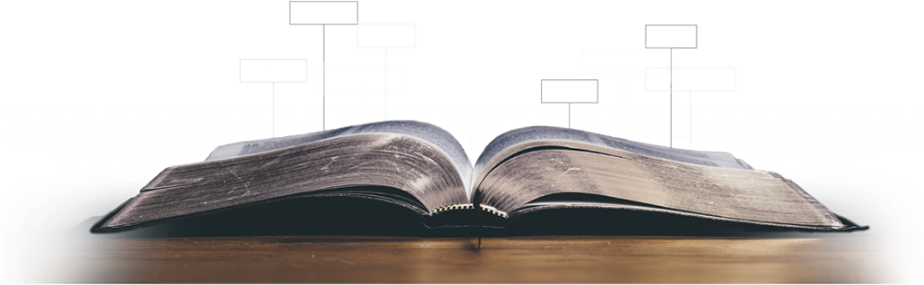 Through The Bible - Plywood (1015x436), Png Download