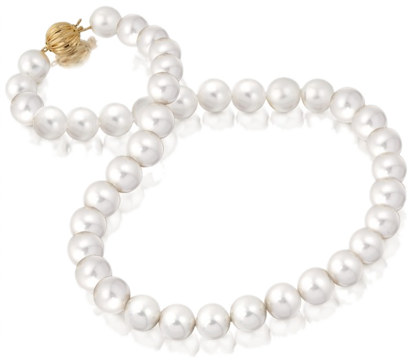 Genuine Pearl Necklace - Pearl (600x525), Png Download