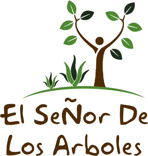 Nomes De Agencias De Turismo (600x600), Png Download