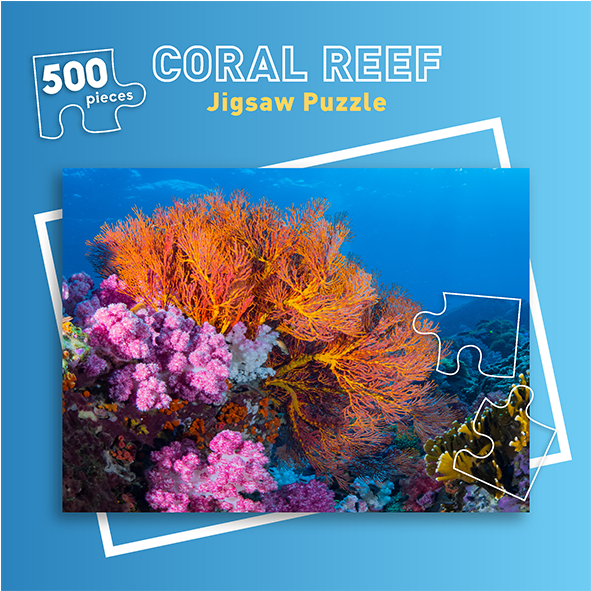 Shop (800x600), Png Download