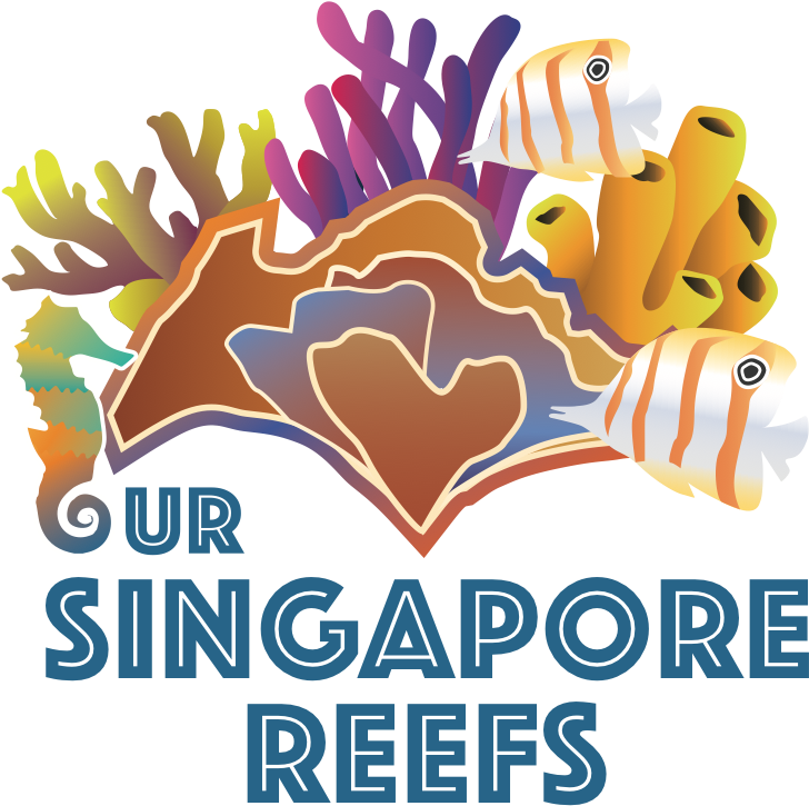 Our Singapore Reefs Logo (818x775), Png Download
