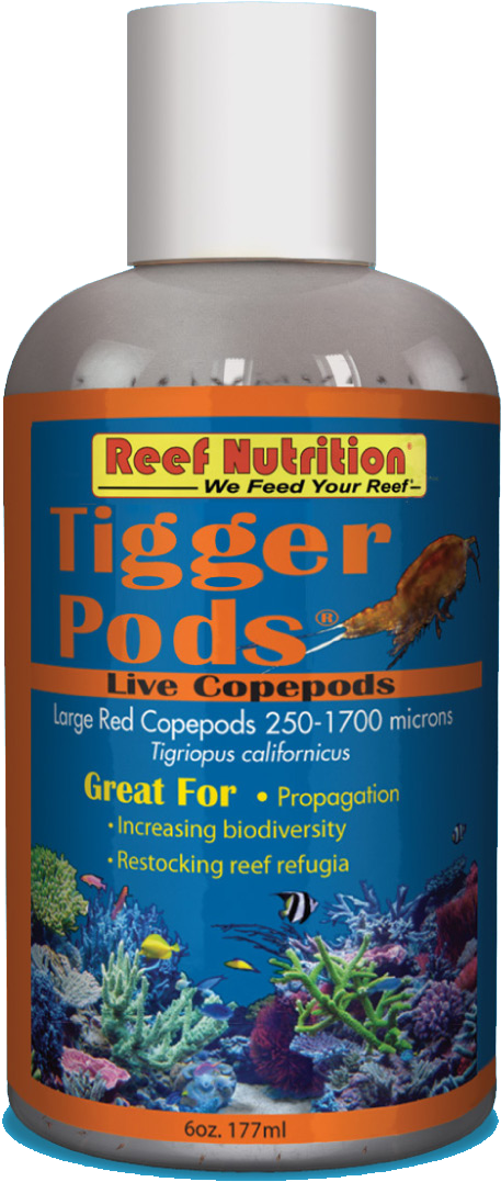 Tigger Pods Bottle - Aquarium (831x1185), Png Download