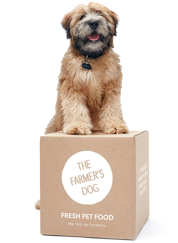 Stunning Farmer's Dog Food Design in 4K Stunning Farmer's Dog Food Design in 4K