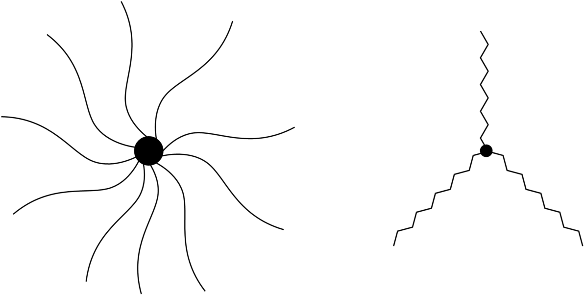 Star Like Polymers (1200x611), Png Download
