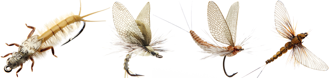 Son Match'n Catch - J Son Fly Fishing (1150x275), Png Download