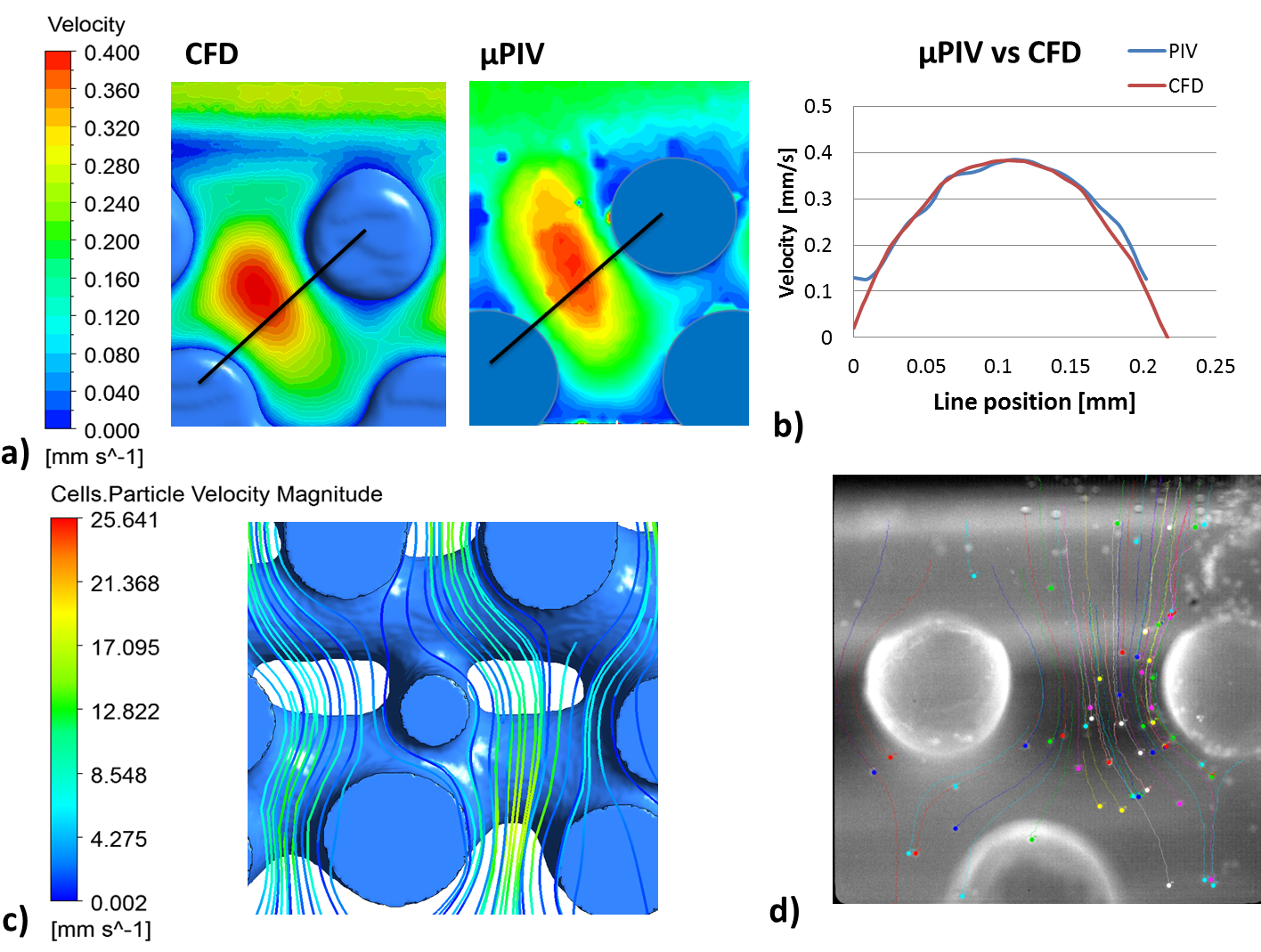To Calculate Cell Motion, Cells Were Simulated As A - Circle (1551x1081), Png Download