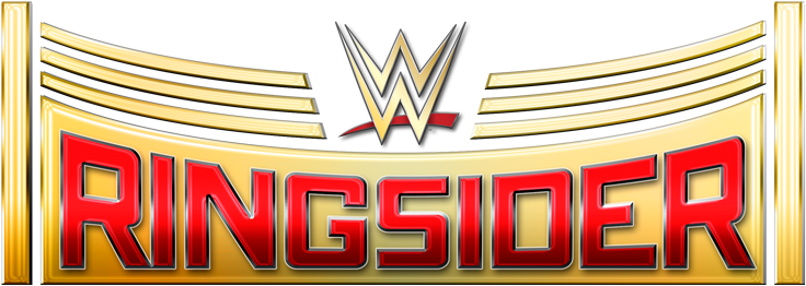 Ringsider Experience Ringsider Experience - Graphic Design (800x618), Png Download