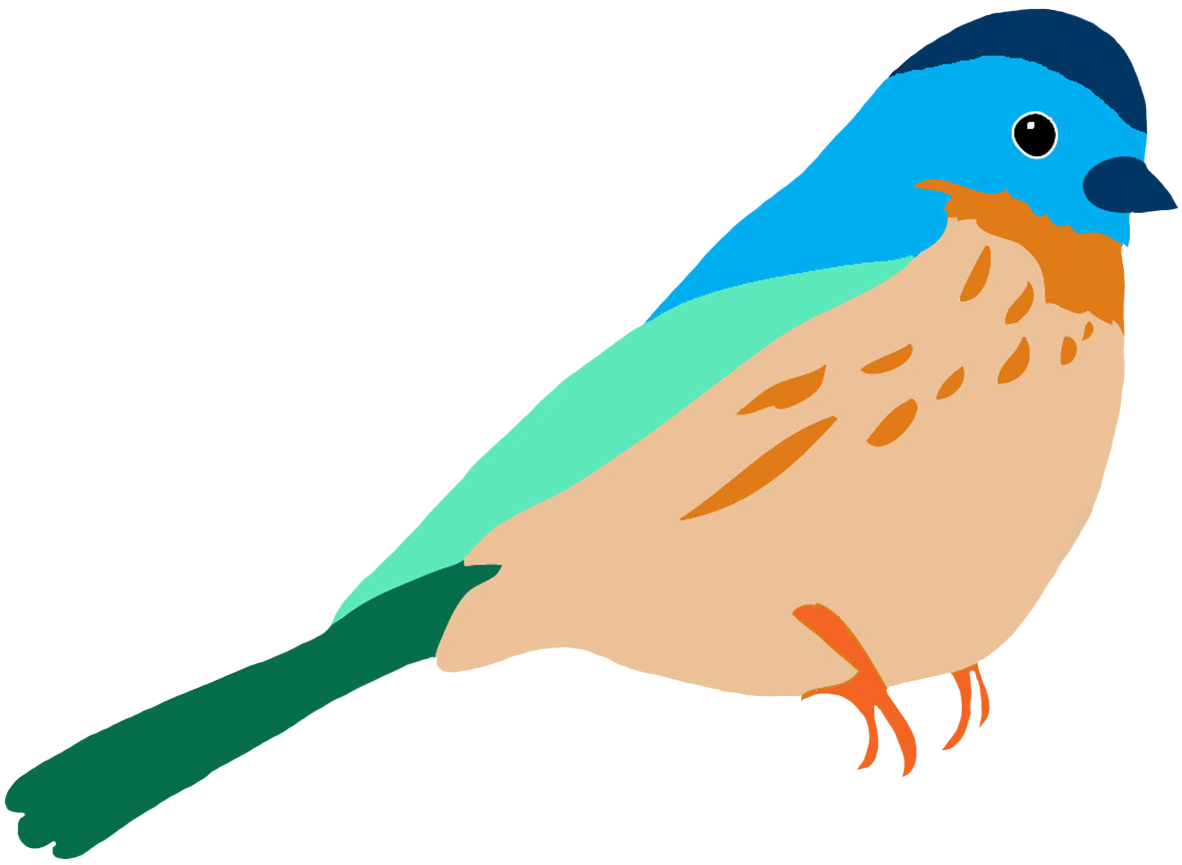 Graasisken Colored - Birds Drawing Color Png (1181x1172), Png Download