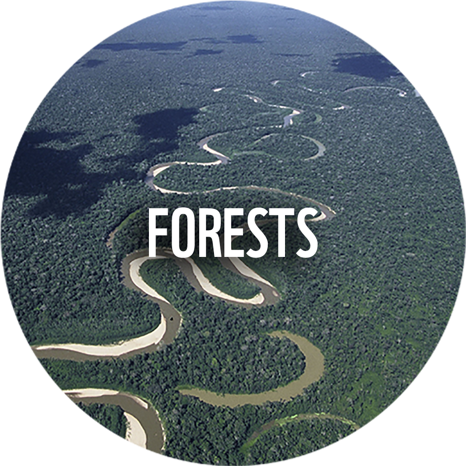 Wwf News - Circle (1000x984), Png Download