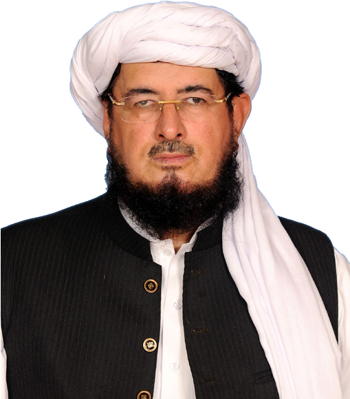 Salahuddin Ayubi Member Mmap Party Png Picture - Turban (510x660), Png Download