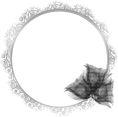 Frame Round Black Flowers - Round Collage Transparent Frame (400x400), Png Download
