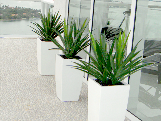 Toulan Tall Tapered Square Fiberglass Planter - Toulan Planter (650x650), Png Download