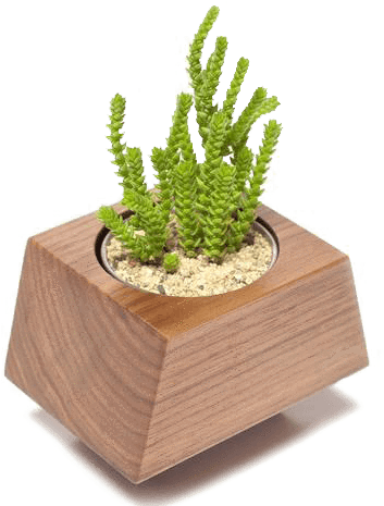 Buy Gourmet Box Car Planter Care Packages From Revolution - Cachepot (480x480), Png Download