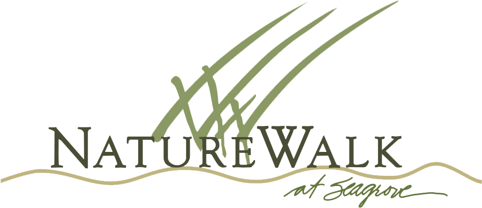 Naturewalk Logo - Logo (990x440), Png Download
