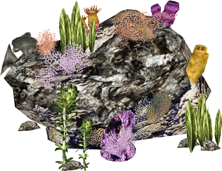 Reef - Japanische Riesenkrabbe (735x735), Png Download