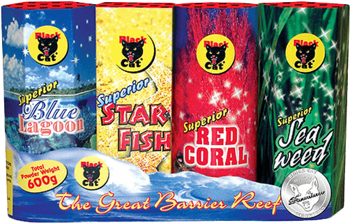 Great Barrier Reef - Black Cat Fireworks (565x603), Png Download