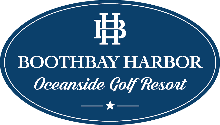 Bhogr Oval White Type - Berlin (902x514), Png Download