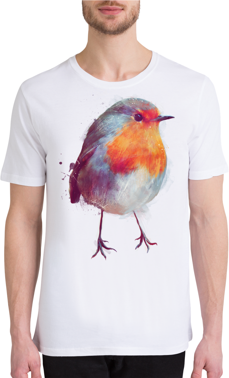 Vögel Kinder Alu-dibond Bilder Winter Robin Von Juniqe (1004x1500), Png Download