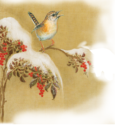 Carolina Wren (400x438), Png Download