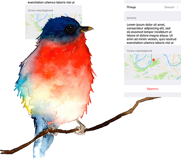 Page Spravochnik 2 02 Page Spravochnik 2 03 Page Spravochnik - Portable Network Graphics (776x620), Png Download