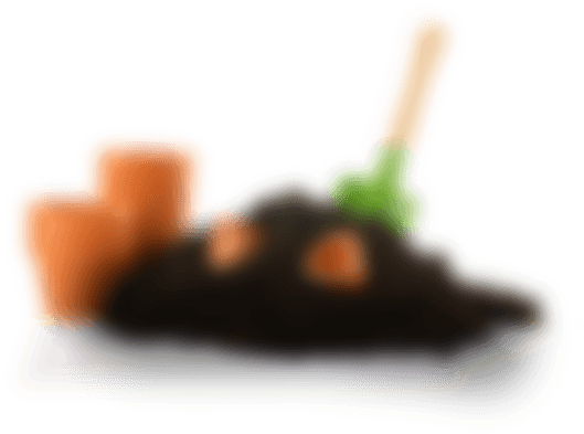 Close-up (553x416), Png Download