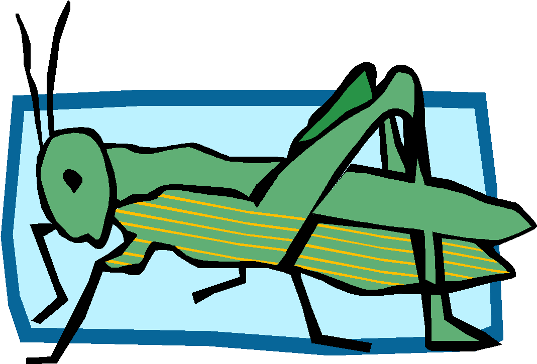 The Transfer Of Energy From The Sun To Producer To - Primary Consumer Clipart (1069x725), Png Download