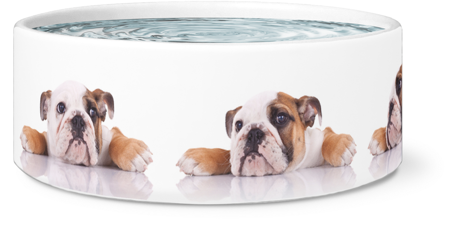 Large Dog Bowl, English Bulldogs Designer Dog Bowls - Boxer (1024x1024), Png Download