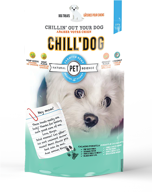 Chill'dog - Companion Dog (500x677), Png Download