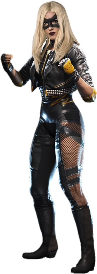 Black Canary Png (400x941), Png Download
