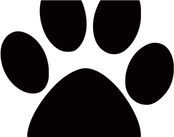 Cougar Clipart Wolf Paw - Dog Foot Prints Png (640x480), Png Download